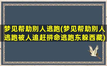 梦见帮助别人逃跑(梦见帮助别人逃跑被人追赶拼命逃跑东躲西藏)