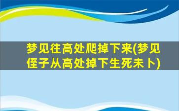 梦见往高处爬掉下来(梦见侄子从高处掉下生死未卜)