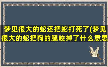 梦见很大的蛇还把蛇打死了(梦见很大的蛇把狗的腿咬掉了什么意思)