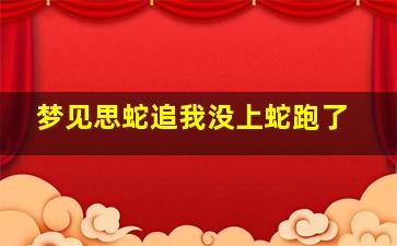 梦见思蛇追我没上蛇跑了