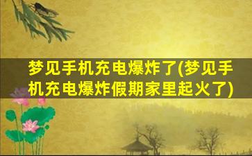 梦见手机充电爆炸了(梦见手机充电爆炸假期家里起火了)