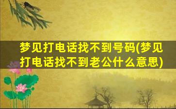 梦见打电话找不到号码(梦见打电话找不到老公什么意思)