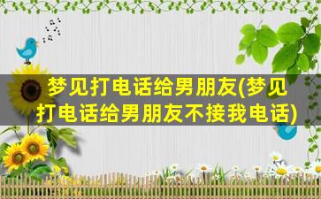 梦见打电话给男朋友(梦见打电话给男朋友不接我电话)