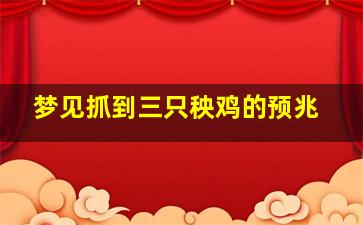 梦见抓到三只秧鸡的预兆