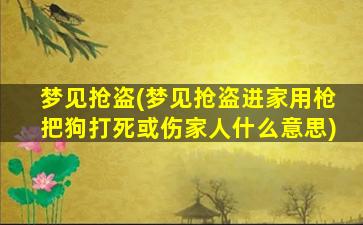 梦见抢盗(梦见抢盗进家用枪把狗打死或伤家人什么意思)