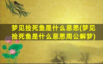 梦见捡死鱼是什么意思(梦见捡死鱼是什么意思周公解梦)