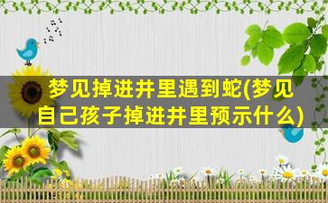 梦见掉进井里遇到蛇(梦见自己孩子掉进井里预示什么)