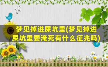 梦见掉进屎坑里(梦见掉进屎坑里要淹死有什么征兆吗)