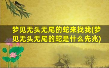 梦见无头无尾的蛇来找我(梦见无头无尾的蛇是什么先兆)