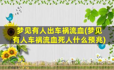 梦见有人出车祸流血(梦见有人车祸流血死人什么预兆)