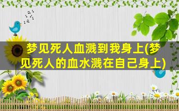 梦见死人血溅到我身上(梦见死人的血水溅在自己身上)