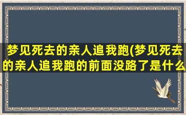 梦见死去的亲人追我跑(梦见死去的亲人追我跑的前面没路了是什么意思)