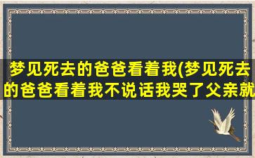 梦见死去的爸爸看着我(梦见死去的爸爸看着我不说话我哭了父亲就不见了)