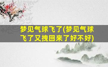 梦见气球飞了(梦见气球飞了又拽回来了好不好)