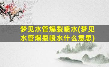 梦见水管爆裂喷水(梦见水管爆裂喷水什么意思)