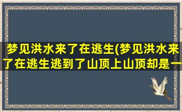 梦见洪水来了在逃生(梦见洪水来了在逃生逃到了山顶上山顶却是一痤寺庙)