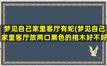 梦见自己家里客厅有蛇(梦见自己家里客厅放两口黑色的棺木好不好)