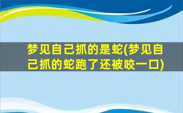 梦见自己抓的是蛇(梦见自己抓的蛇跑了还被咬一口)