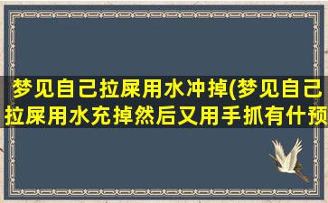 梦见自己拉屎用水冲掉(梦见自己拉屎用水充掉然后又用手抓有什预兆)