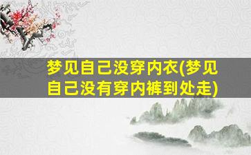 梦见自己没穿内衣(梦见自己没有穿内裤到处走)