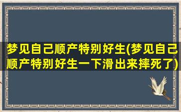 梦见自己顺产特别好生(梦见自己顺产特别好生一下滑出来摔死了)