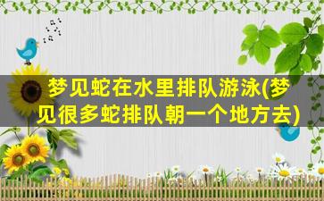 梦见蛇在水里排队游泳(梦见很多蛇排队朝一个地方去)