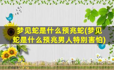 梦见蛇是什么预兆蛇(梦见蛇是什么预兆男人特别害怕)