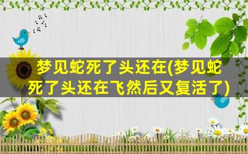 梦见蛇死了头还在(梦见蛇死了头还在飞然后又复活了)