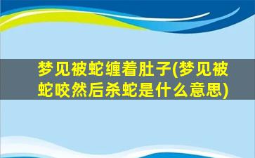 梦见被蛇缠着肚子(梦见被蛇咬然后杀蛇是什么意思)