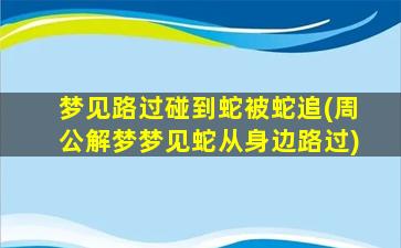 梦见路过碰到蛇被蛇追(周公解梦梦见蛇从身边路过)