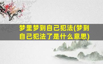 梦里梦到自己犯法(梦到自己犯法了是什么意思)