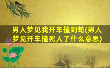 男人梦见我开车撞到蛇(男人梦见开车撞死人了什么意思)