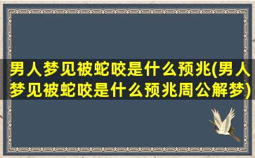 男人梦见被蛇咬是什么预兆(男人梦见被蛇咬是什么预兆周公解梦)