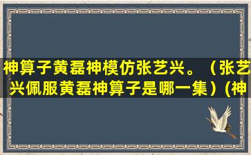 神算子黄磊神模仿张艺兴。（张艺兴佩服黄磊神算子是哪一集）(神算子黄磊开密码)