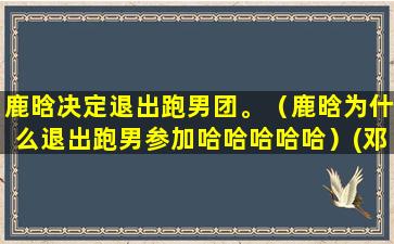 鹿晗决定退出跑男团。（鹿晗为什么退出跑男参加哈哈哈哈哈）(邓超鹿晗为什么退出跑男)