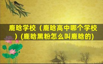 鹿晗学校（鹿晗高中哪个学校）(鹿晗黑粉怎么叫鹿晗的)